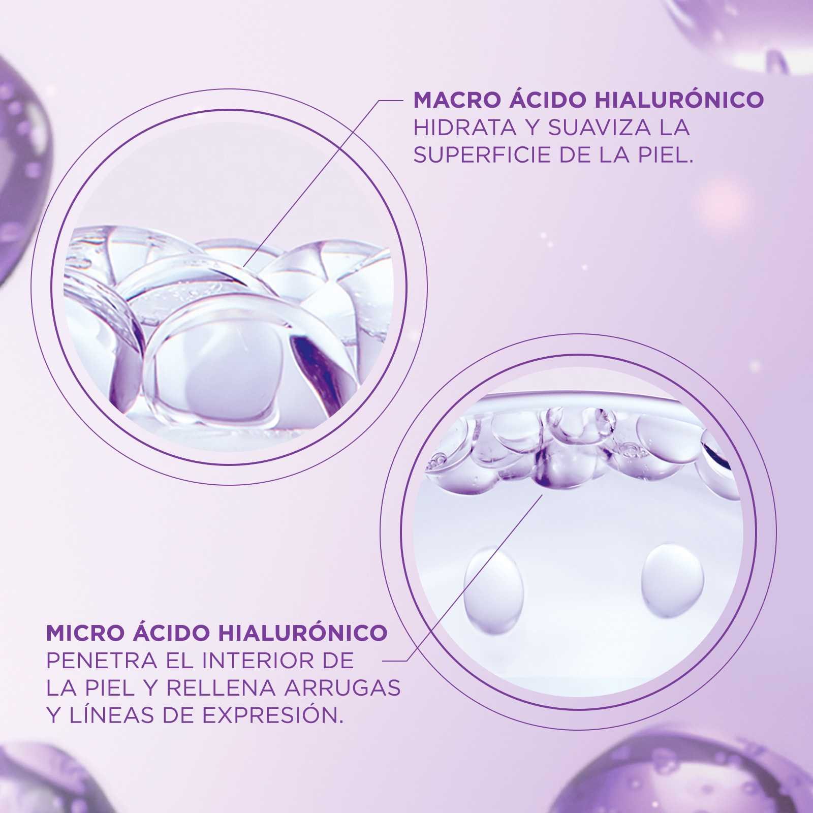 6 Copia 2